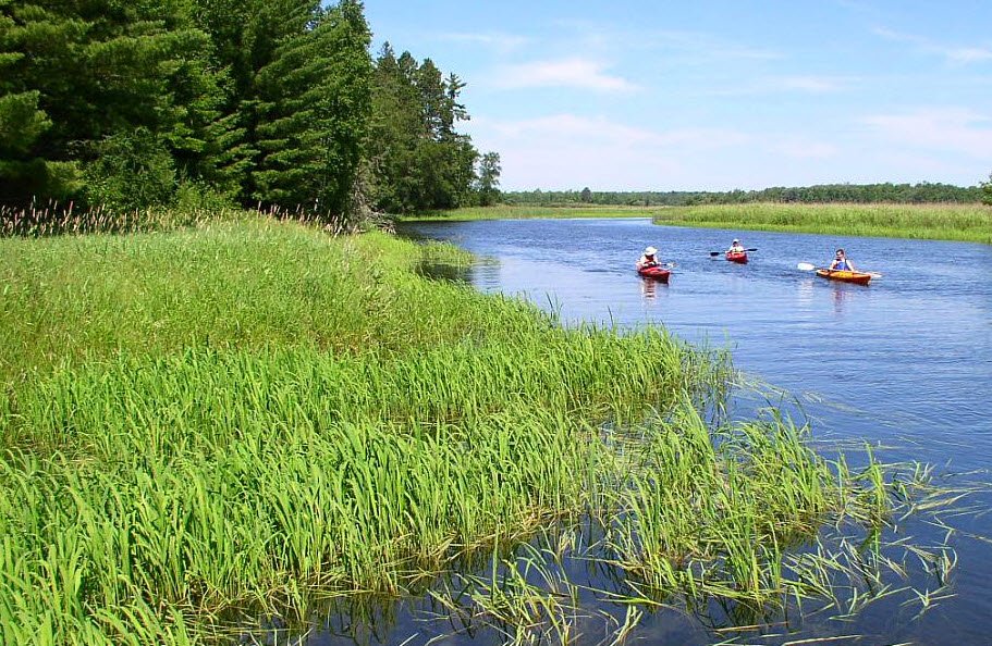 Schoolcraft State Park, Minnesota, USA